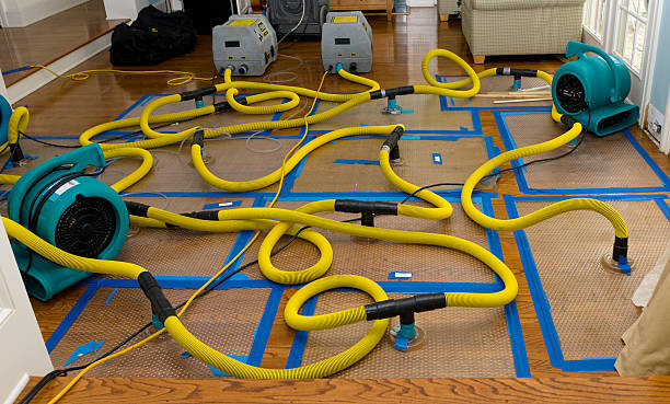 Professional Sewage Cleanup technician working in Lake Arrowhead, ME